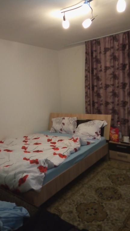 Central Apartment 2 티미쇼아라 외부 사진